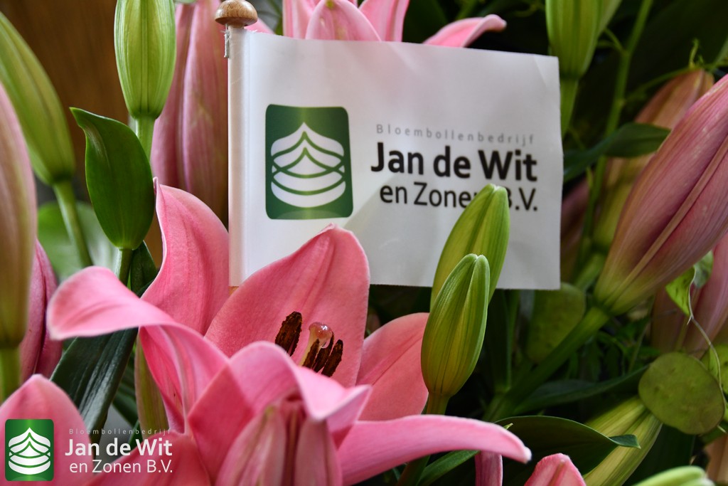 Thanks for coming to the Dutch Lily Days 2026 | News | Jan de Wit